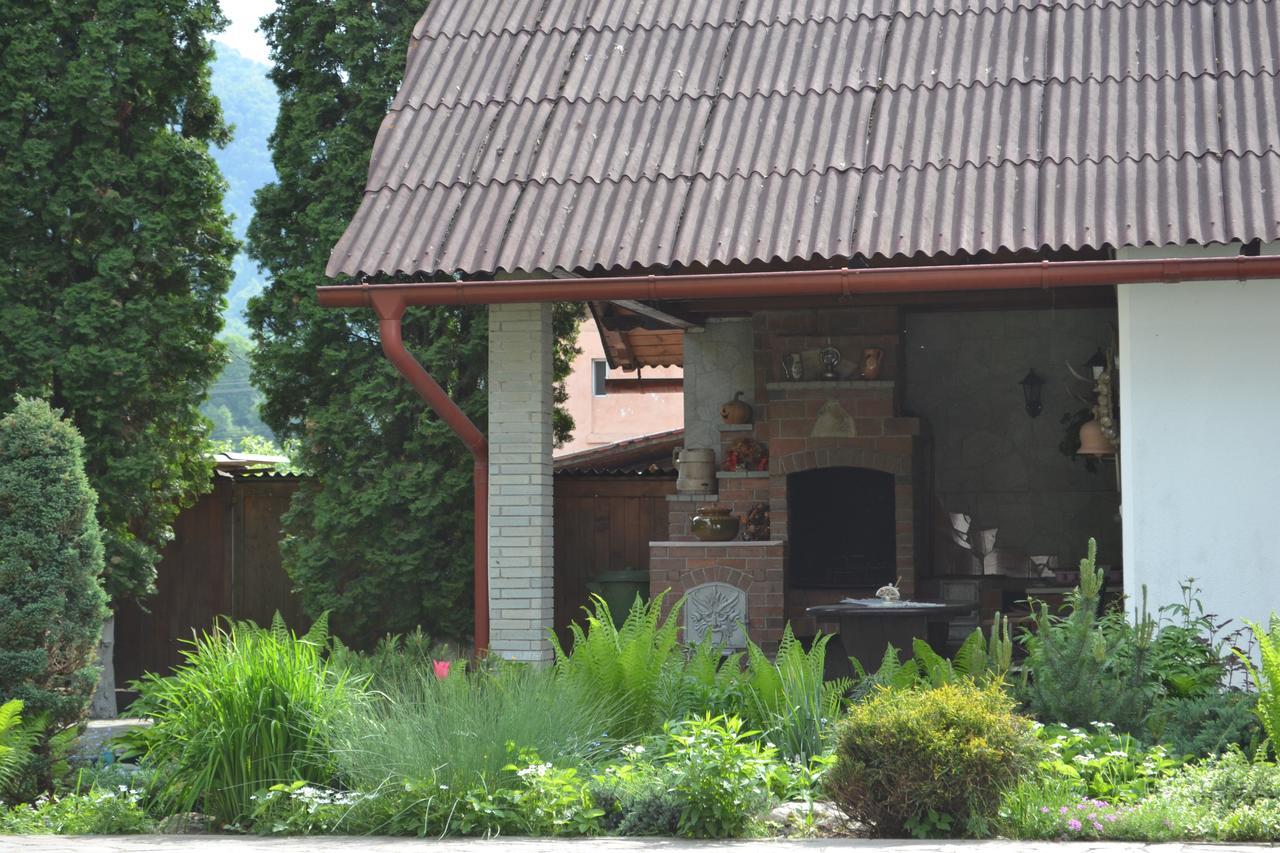 Casa Bota Hotell Vişeu de Sus Exteriör bild