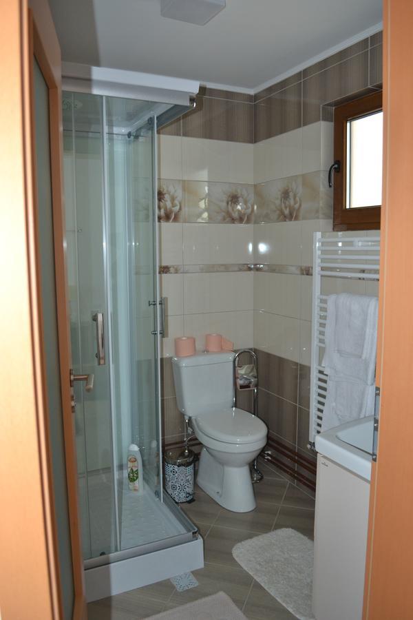 Casa Bota Hotell Vişeu de Sus Exteriör bild
