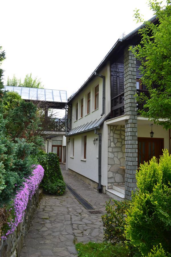 Casa Bota Hotell Vişeu de Sus Exteriör bild